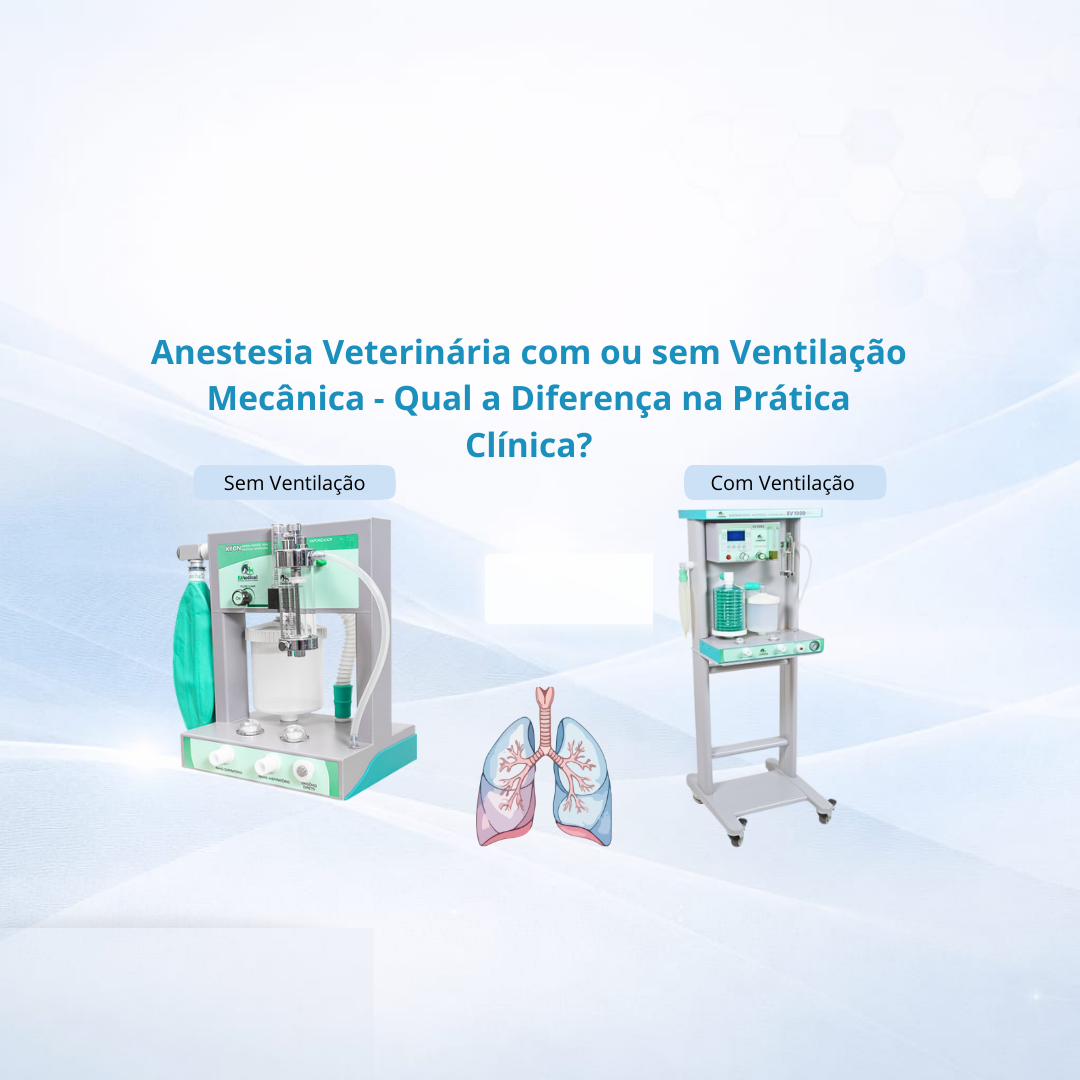 Diferença entre Anestesia Veterinária com e sem Ventilação Mecânica