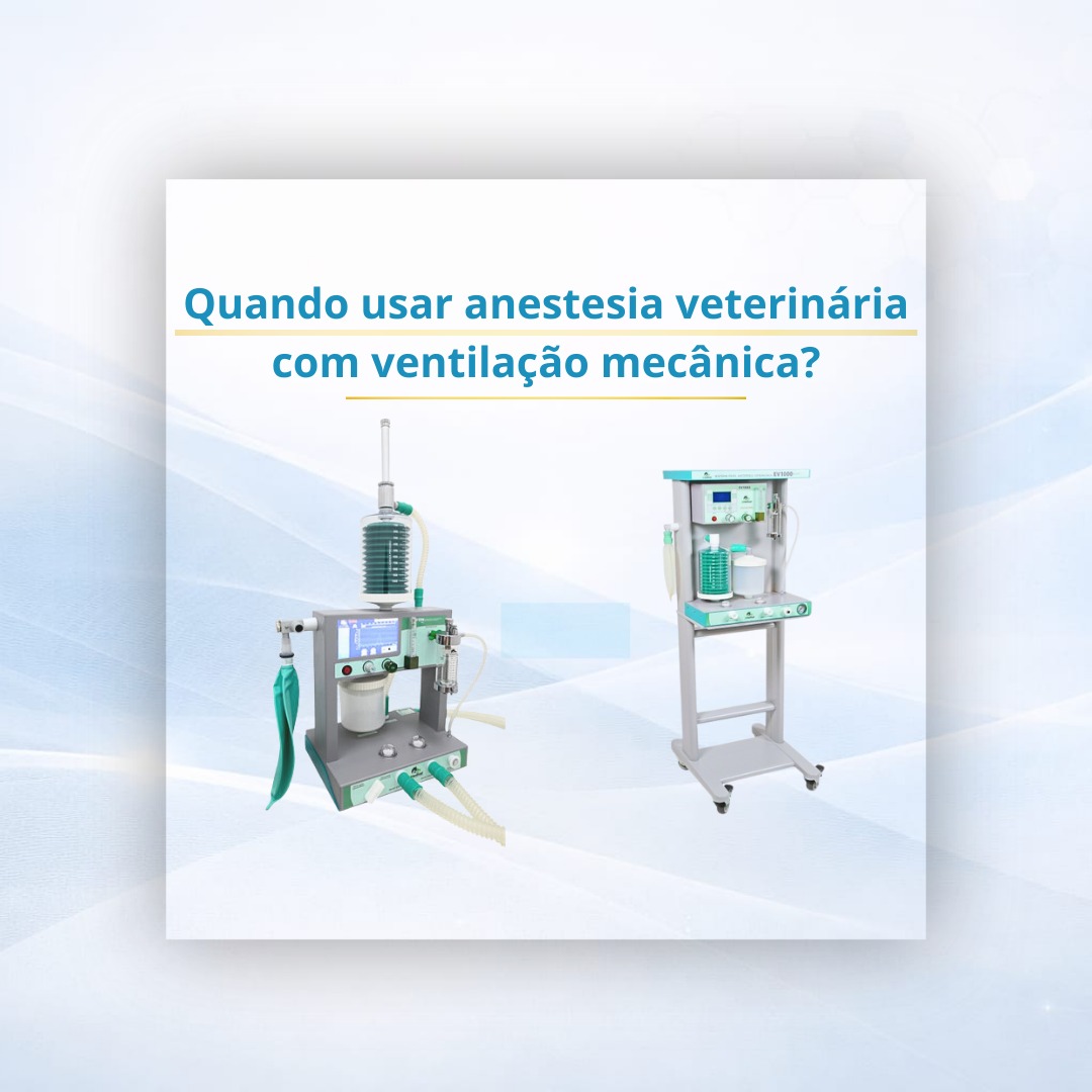 Quando usar anestesia veterinária com ventilação mecânica?